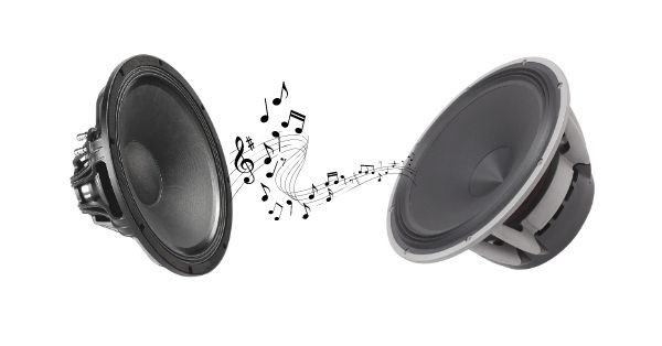 Differences Between A Subwoofer And Speaker
