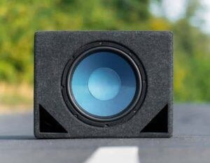 Can You Use A Subwoofer As A Speaker